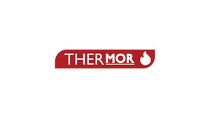 THERMOR Countertop Electric Deep Fryer (8L)